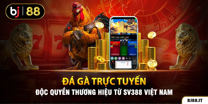 Cá cược đá gà tại BJ88 trực tiếp từ Thomo