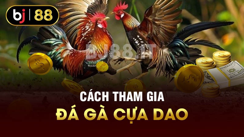 Cách tham gia đá gà cựa dao