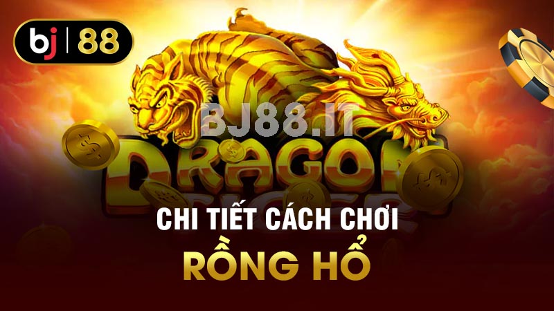 Chi tiết cách chơi rồng hổ 