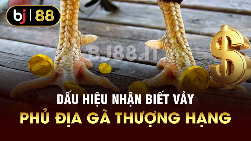 Dấu hiệu nhận biết vảy phủ địa gà thượng hạng