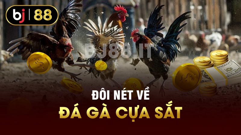 Đôi nét về đá gà cựa sắt