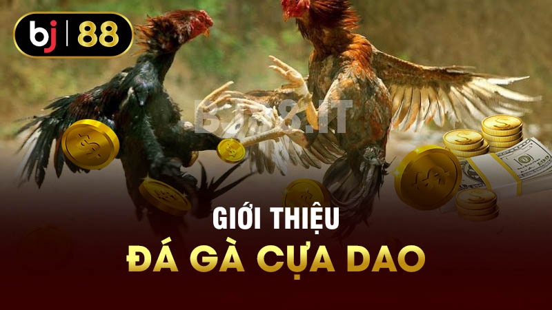 Giới thiệu đá gà cựa dao