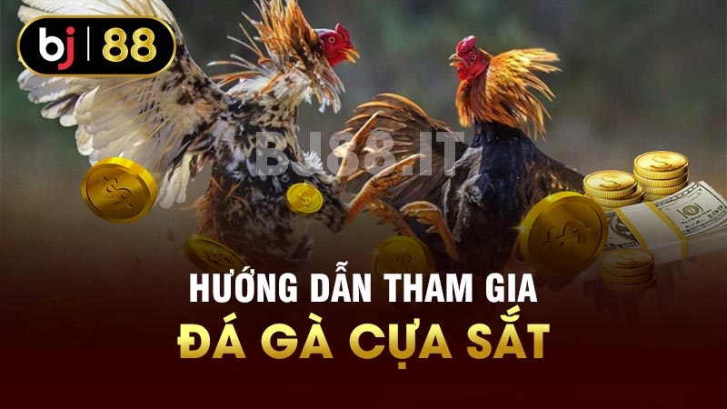 Hướng dẫn tham gia đá gà cựa sắt 