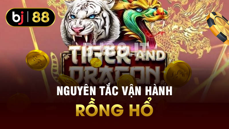 Nguyên tắc vận hành rồng hổ