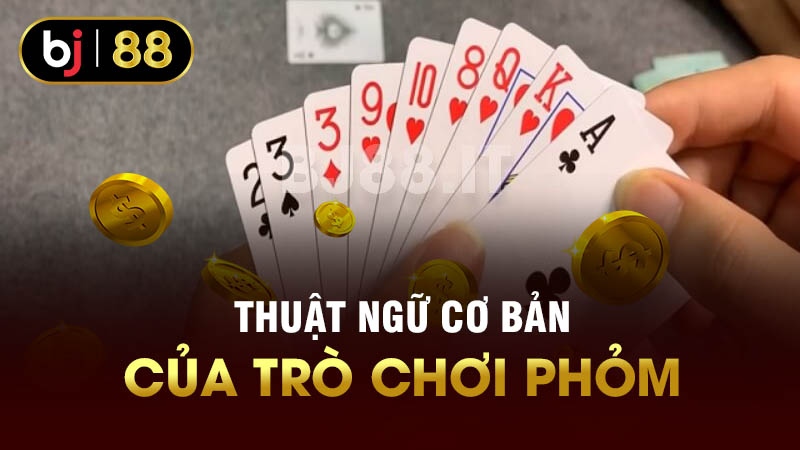 Thuật ngữ cơ bản của trò chơi phỏm