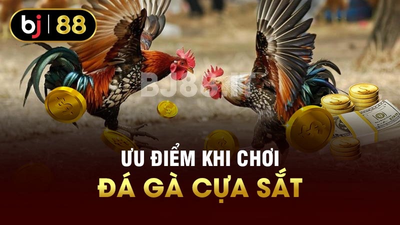 Ưu điểm khi chơi đá gà cựa sắt